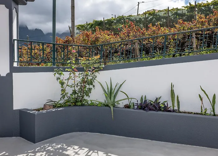 Casa vacanze Vista Do Vale, By Op São Vicente